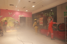 This image has an empty alt attribute; its file name is image-20.png